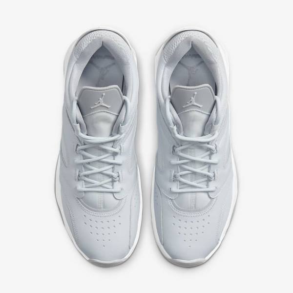 Men's Nike Jordan Point Lane Trainers Platinum / White / Grey | NK941PDK