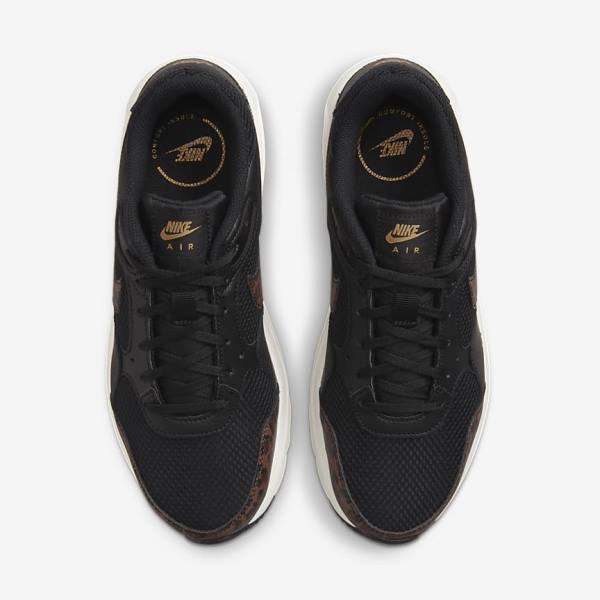 Women's Nike Air Max SC Trainers Black / Metal Gold / Brown | NK846WHT