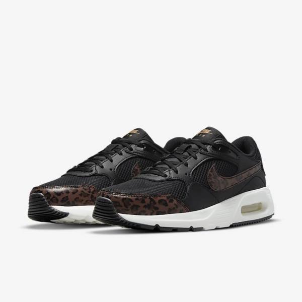 Women's Nike Air Max SC Trainers Black / Metal Gold / Brown | NK846WHT