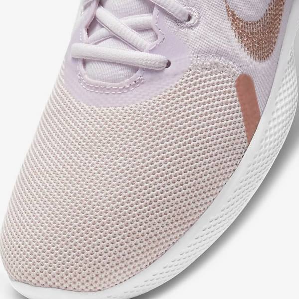 Women's Nike Flex Experience Run 10 Road Running Shoes Light Purple / White / Metal Red Brown | NK012HXU