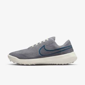 Men's Nike Victory G Lite NN Golf Shoes Grey | NK759TXC