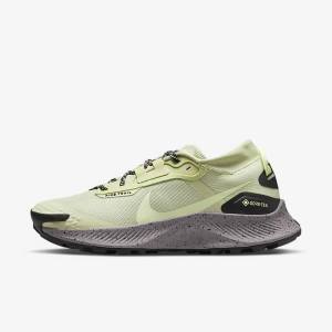 Women's Nike Pegasus Trail 3 GORE-TEX Waterproof Trail Running Shoes Olive / Black / Grey | NK047UBS